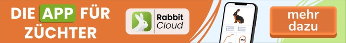 Banner RabbitCloud